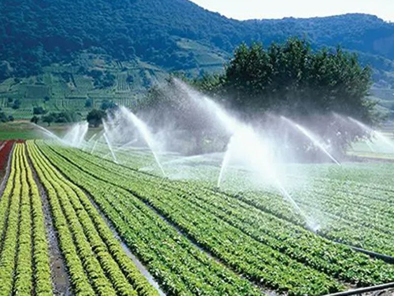 农业灌溉水带应用